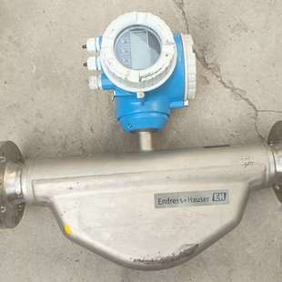 型号： EH质量计 议价2021年新款 恩格斯豪斯质量计