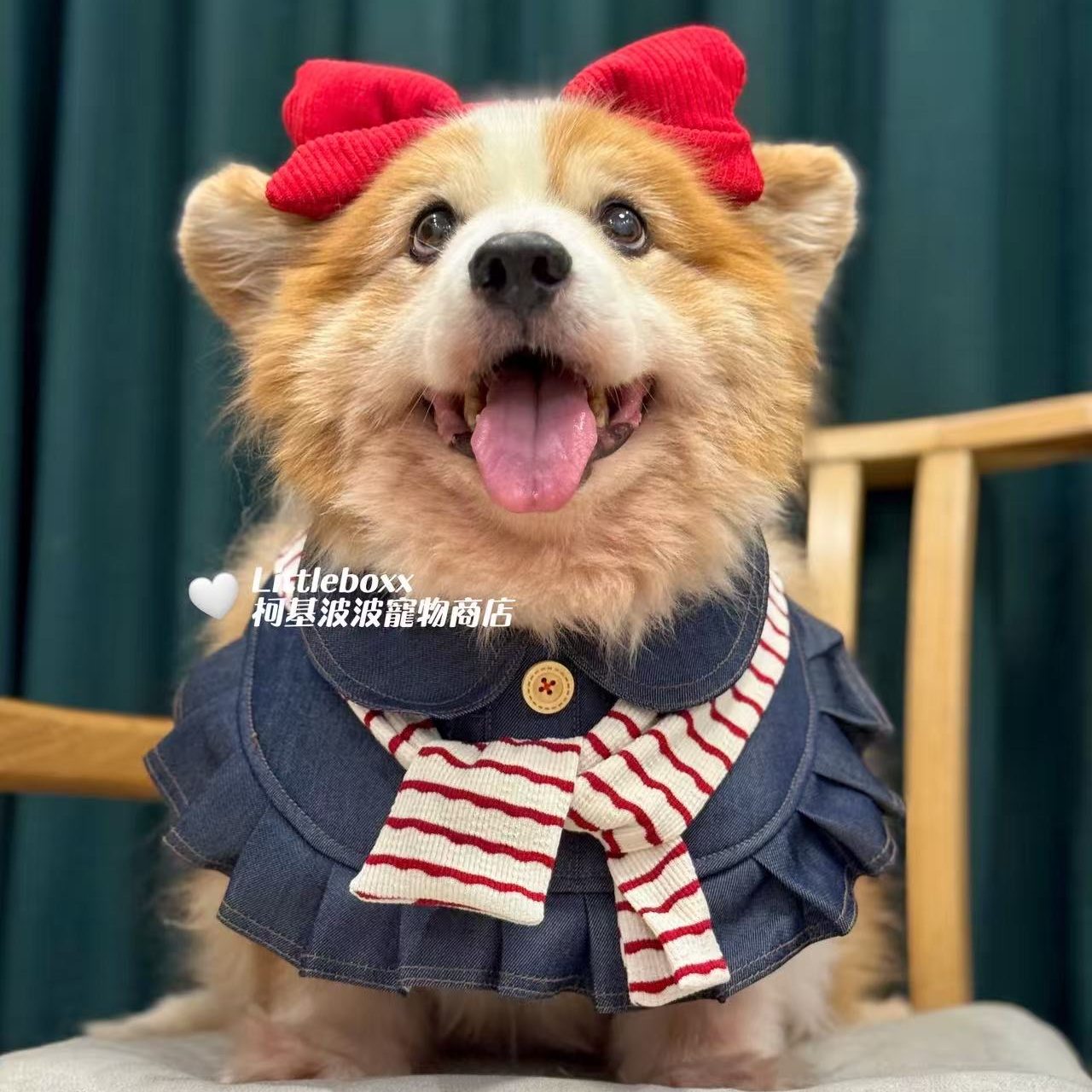 Littleboxx柯基波波手工制作牛仔衬衣款休闲可爱口水巾小中大型犬,宠物/宠物食品及用品,围巾/口水巾,淘宝优惠券,粉丝福利购,淘宝优惠卷