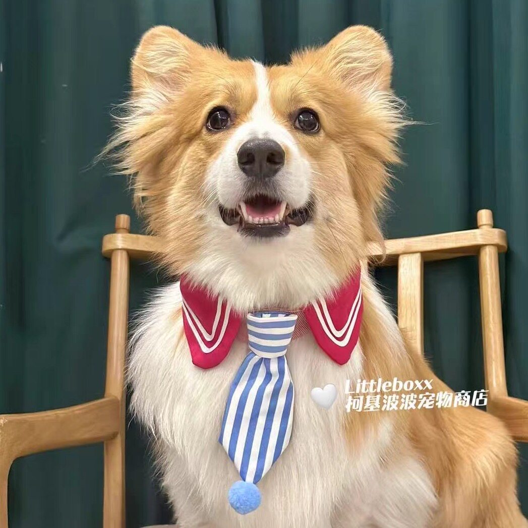Littleboxx柯基波波玫红星星条纹蝴蝶结装饰领带领结小中大型犬