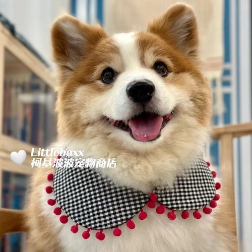 Littleboxx柯基波波黑白格子玫红球球口水巾猫狗宠物小中大型犬