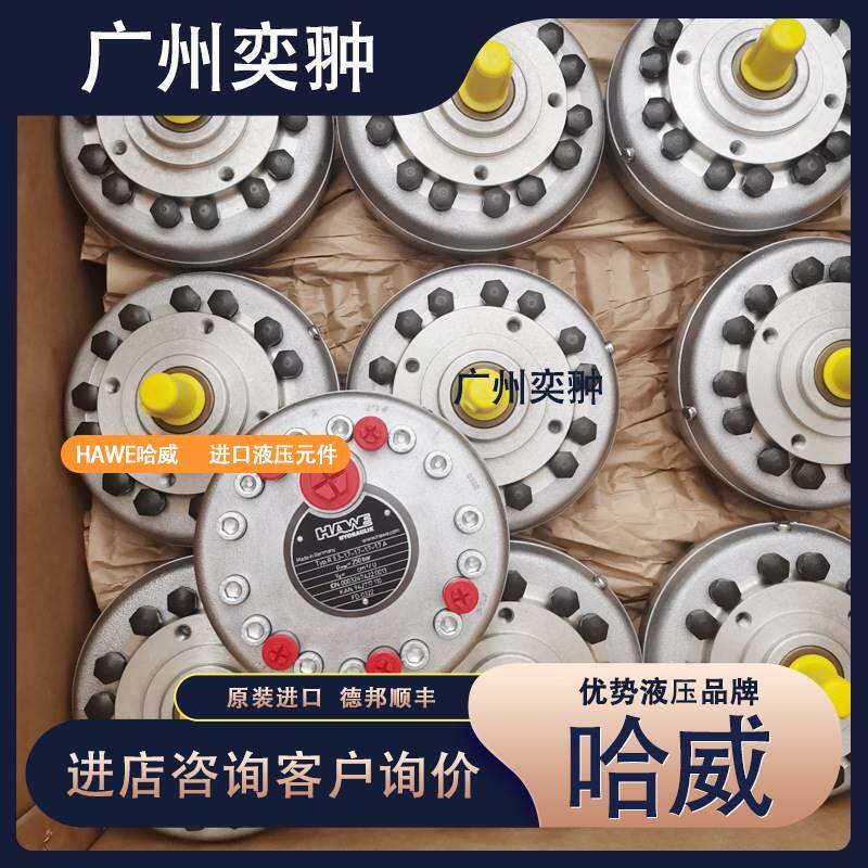 德国哈.威UDFR60油系柱塞泵ha列we进口泵