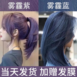 雾感紫染发剂流行色葡萄雾霾蓝黑紫灰色染发膏纯泡泡沫植物免漂女