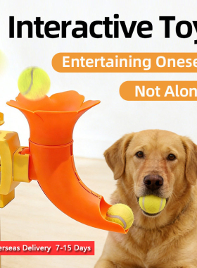 Interactive Pet Toys Throw And Play Human-Pet Interaction