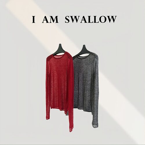 【A/M Swallow】马海毛长袖打底T恤W-1341#997