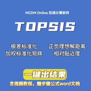 含word文档 权重 优劣解距离法TOPSIS在线计算软件 可输入自己