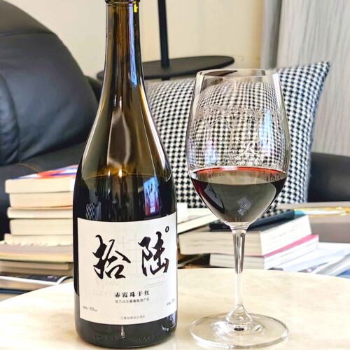贺兰山东麓拾陆赤霞珠国产车库酒