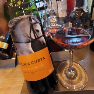 葡萄窖主 葡萄牙进口卓洋战马小众精品红酒 良心口粮酒 马到成功