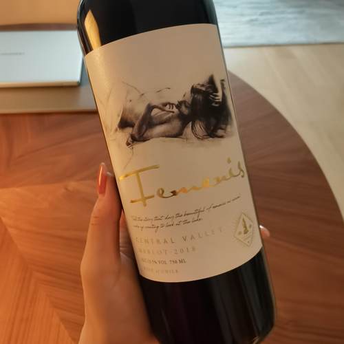 智利进口雅琳公主梅洛干红葡萄酒