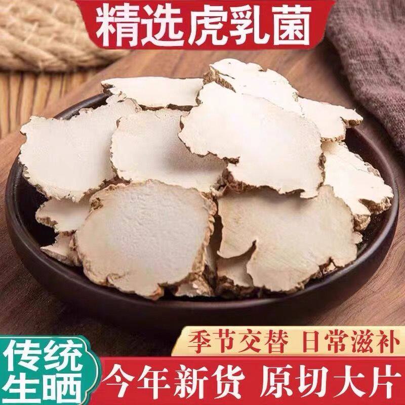 正宗乳菌虎药材非进口马来西亚奶菌奶菇云南灵芝正品儿童煲汤