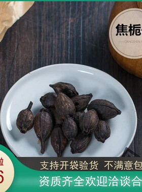 大鹏中药材焦栀子 焦枝子500克42元另有炒栀子碳 栀子包邮