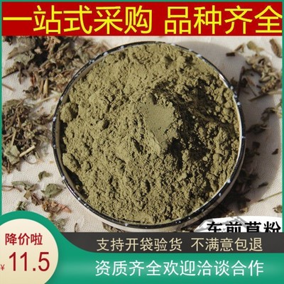 新鲜车前子中药材