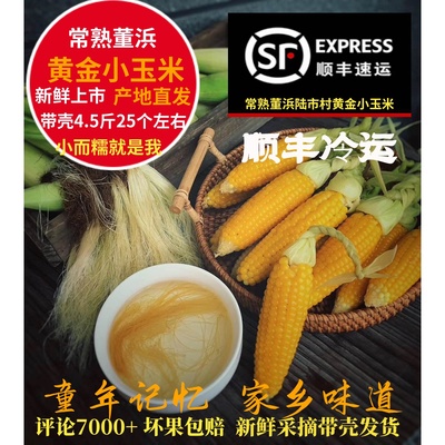 常熟董浜黄金小玉米新鲜现摘香糯
