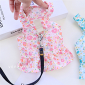 宠物夏季 裙子泰迪比熊猫咪博美小狗狗衣服小型犬带牵引绳夏天 薄款