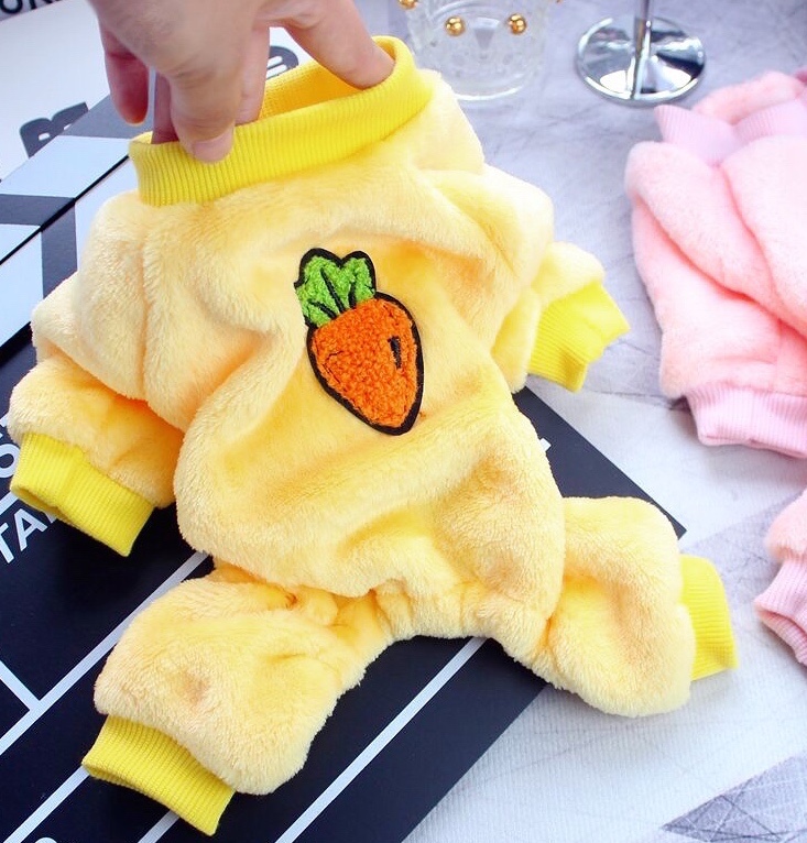 可爱春秋款博美小型四脚衣比熊