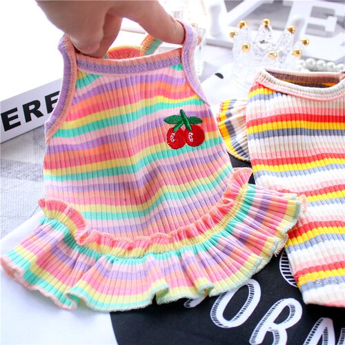 泰迪小狗狗博美犬夏款春装比熊