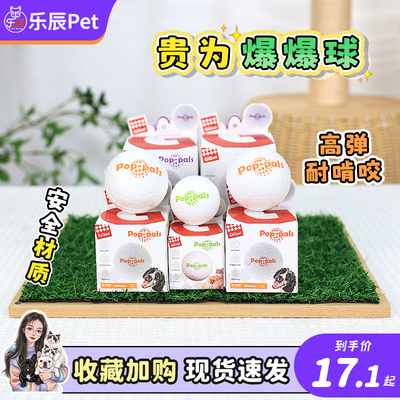 高弹力耐咬狗狗玩具球旺财