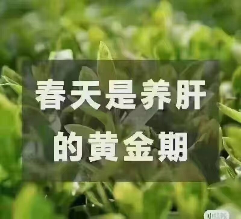 肝胆排堵套餐肝疏宝非博瑞达顿康同款石榴汁多酚壹号谐丽肝排肠排