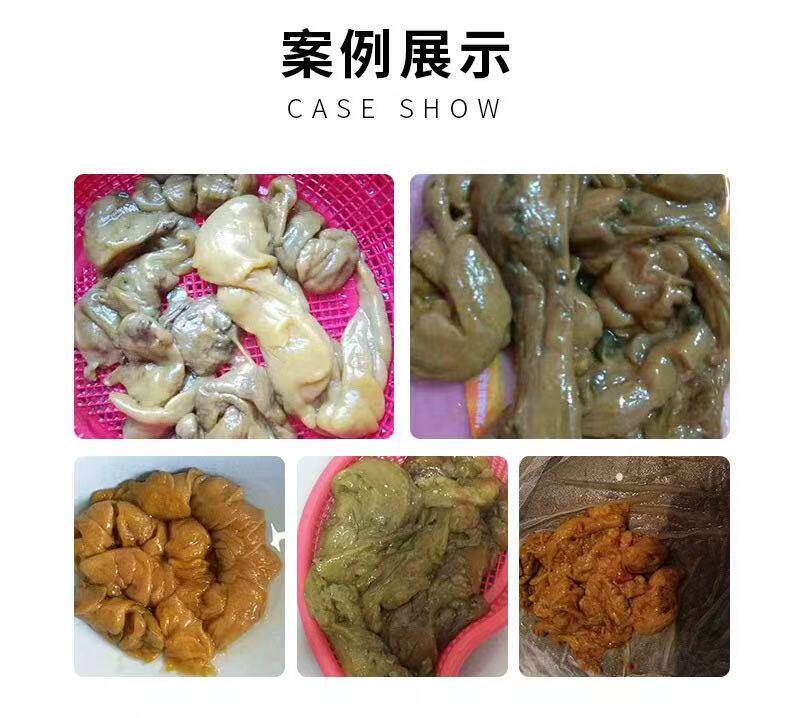 肠排小肠排消化道排堵酵素粉非伊生堂藤黄果台湾酵素粉辟谷代餐粉