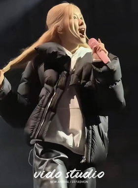 朴彩英同款黑色立领拉链欧美高级设计感鸭绒羽绒服外套女面包服冬