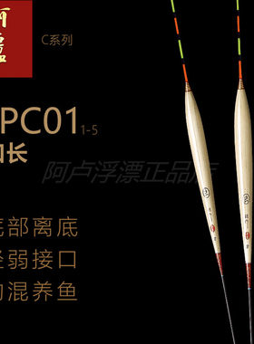 阿卢正品店加长版黑坑C01浮漂