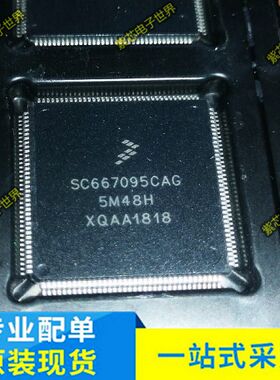 SC667095CAG 5M48H 适用于宝马CAS4电脑板常用易损CPU 空白无数据