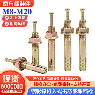 锤击壁虎镀彩锌打入式 击芯膨胀锚栓螺丝8M10M12M14M16M20敲击壁虎