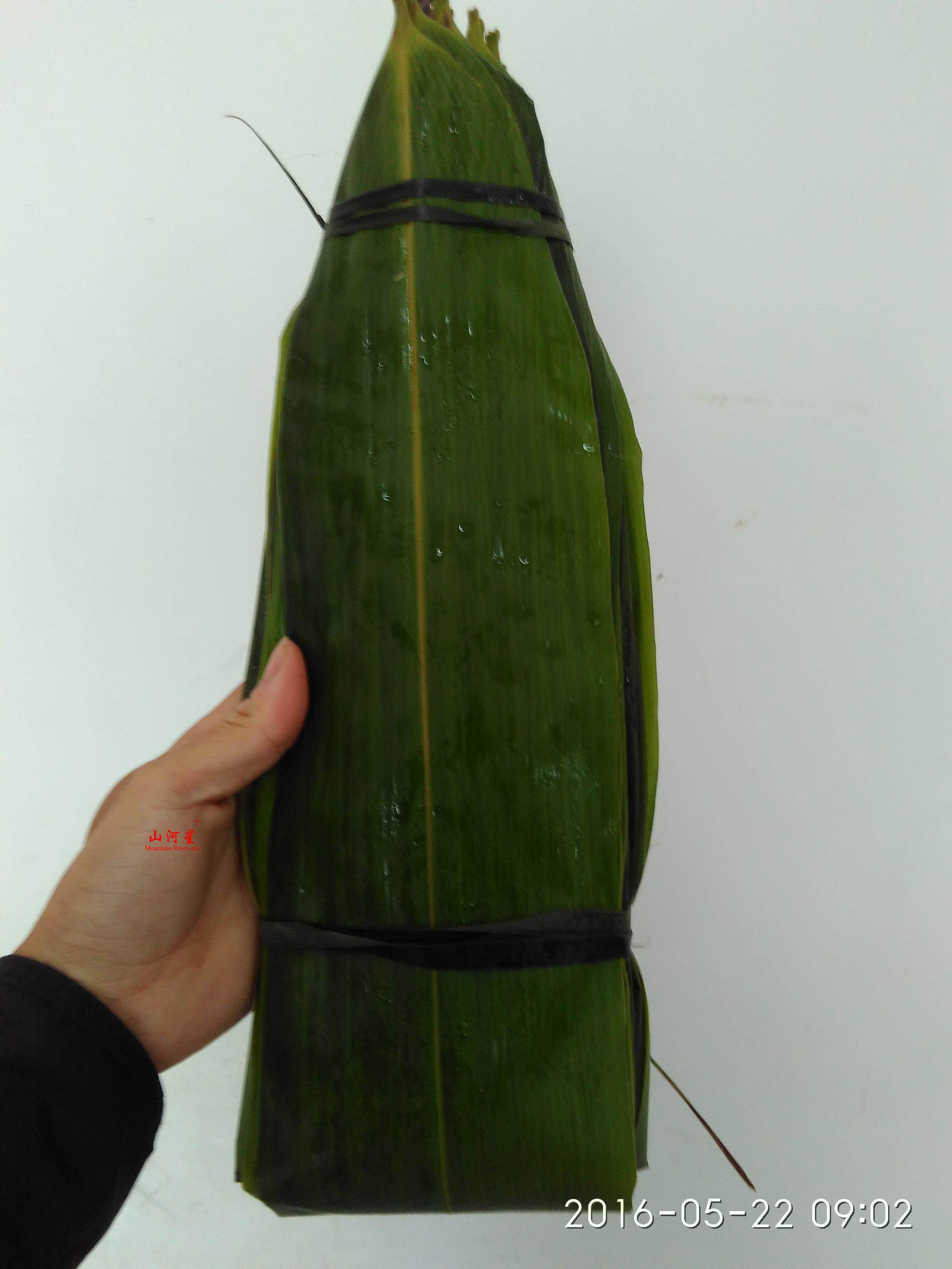 山河星粽叶新鲜端午节箬叶大粽子叶廖叶芦苇叶包粽子闽三明100张