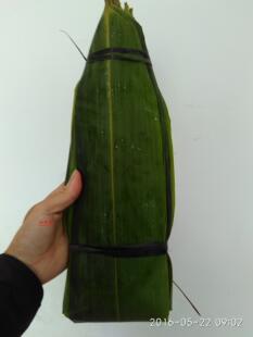 山河星粽叶新鲜端午节箬叶大粽子叶廖叶芦苇叶包粽子闽三明100张