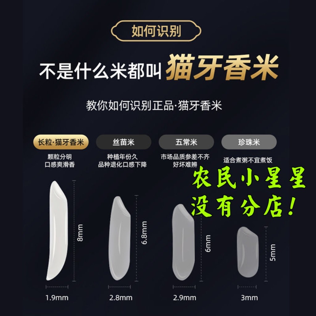 猫牙米种植稻谷长粒稻常规稻香米饲料原料