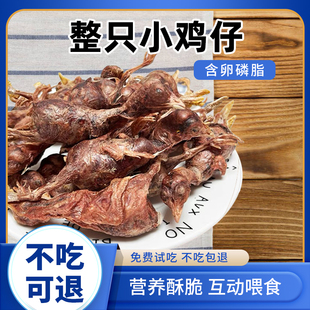 宠物猫咪零食冻干小鸡仔营养泰迪金毛狗狗训宠奖励肥增小鹌鹑