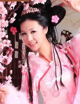 Extension cheveux - Chignon - Ref 241225 Image 4