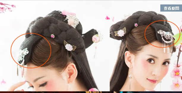Extension cheveux - Chignon - Ref 236915 Image 4