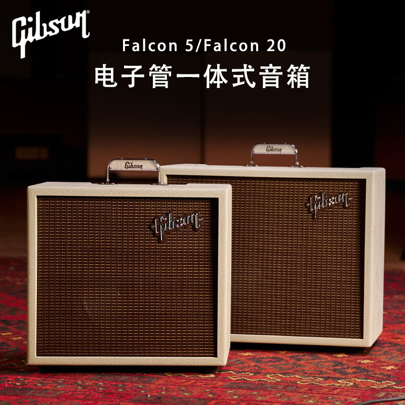 Gibson吉普森电吉他音箱箱体
