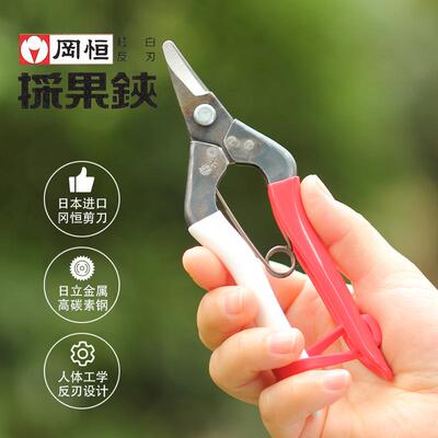 日本原装进口修枝剪冈恒采果剪