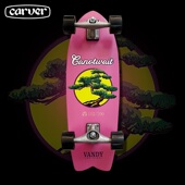 VANDY联乘系列定制陆地冲浪板初学者 美国进口Carver 陈伟霆CNW