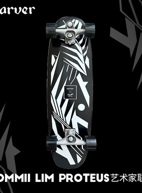 Carver极简黑白陆地冲浪板Taylor Knox专业陆冲板路冲 1985滑板