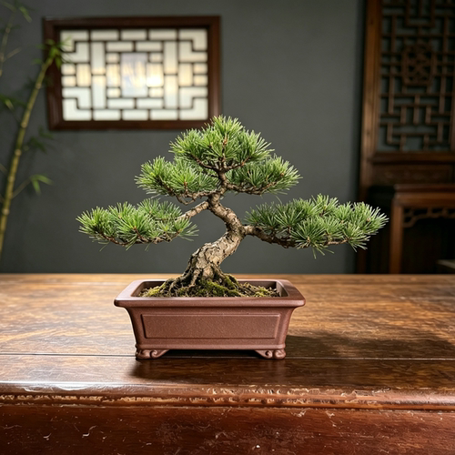 紫砂方形盆景花盆古典园林造景