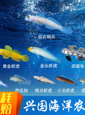 虾虎钻石哨兵蟋蟀雷达海水鱼快递