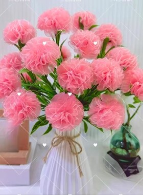 雪纱21朵康乃馨花束DIY材料包