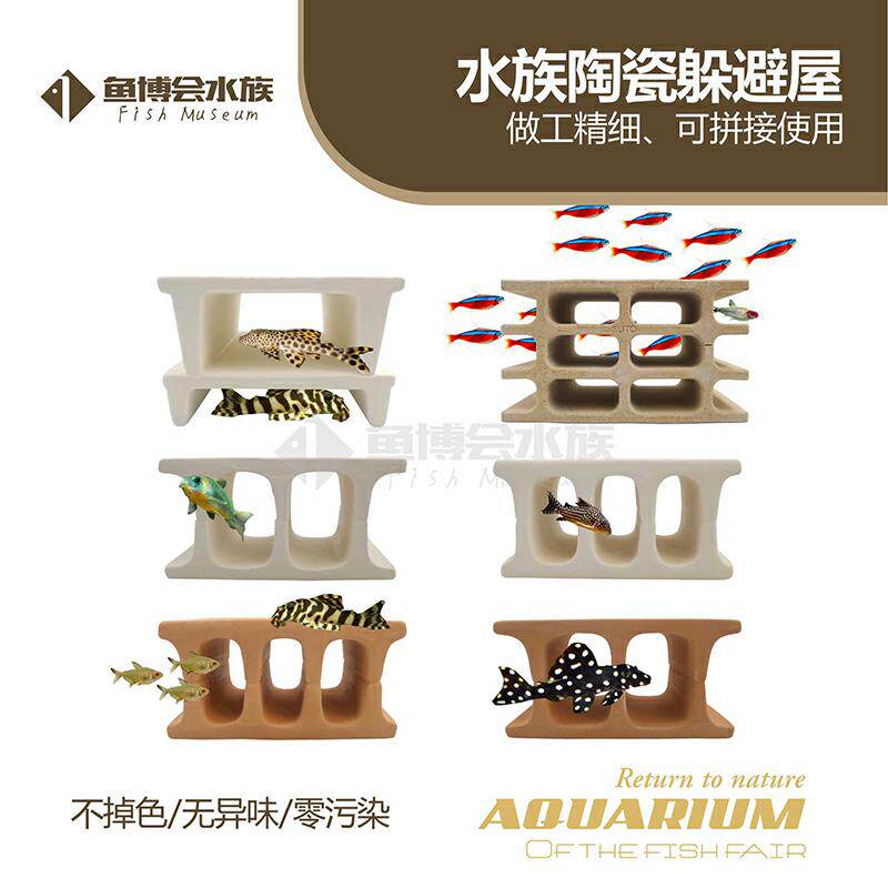 异型鱼躲避罐熊猫斑马suto六6孔