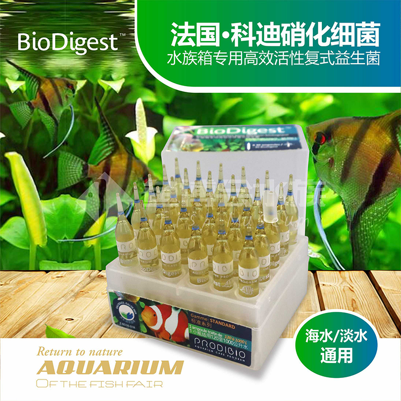 法国科迪biodigest通用硝化菌