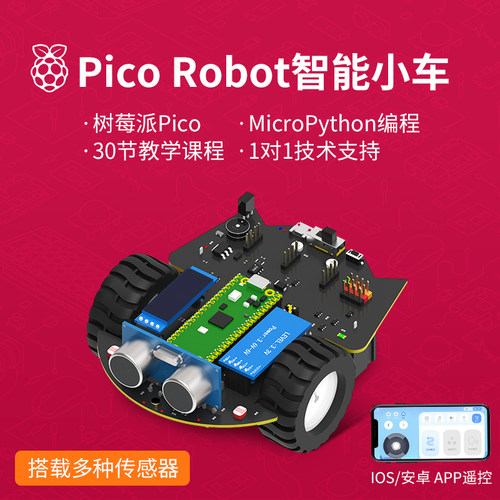 树莓派pico智能小车套件