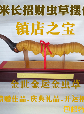 虫草模型展示摆件招揽客人