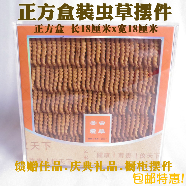 仿真盒装虫草摆件大号礼盒扎花盒装冬虫夏草模型橱窗店面装饰摆设