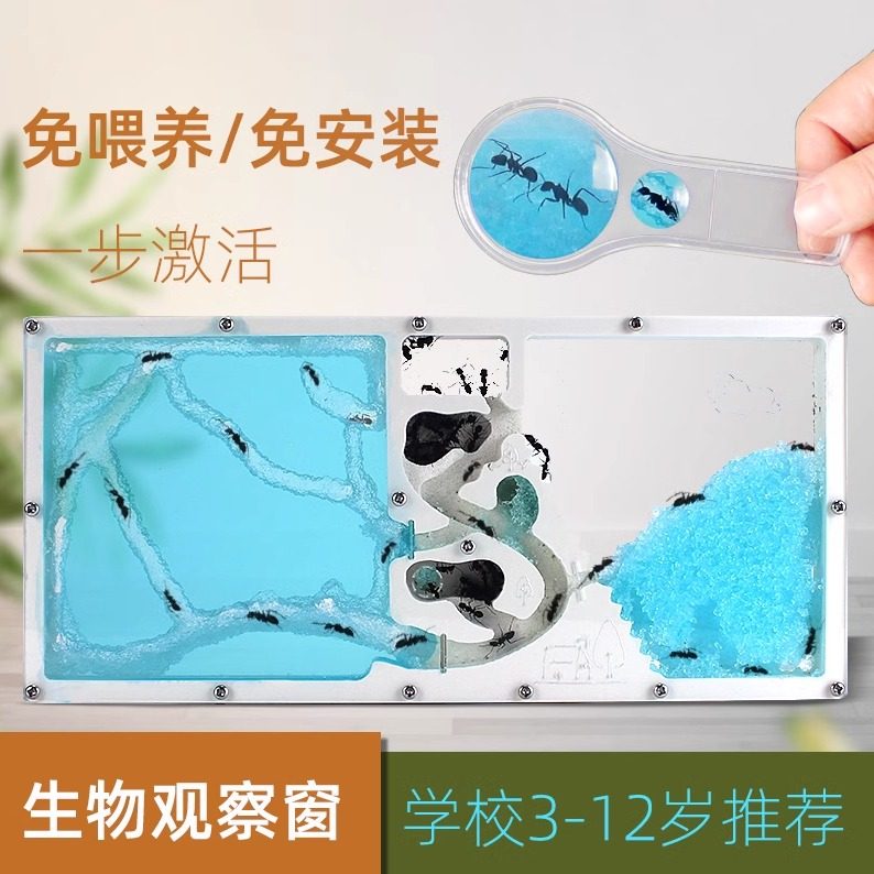幼儿园蚂蚁工坊学生科学探索创意蚁巢蚂蚁城堡庄园蚁后宠物蚂蚁后,宠物/宠物食品及用品,蚂蚁工坊,淘宝优惠券,粉丝福利购,淘宝优惠卷