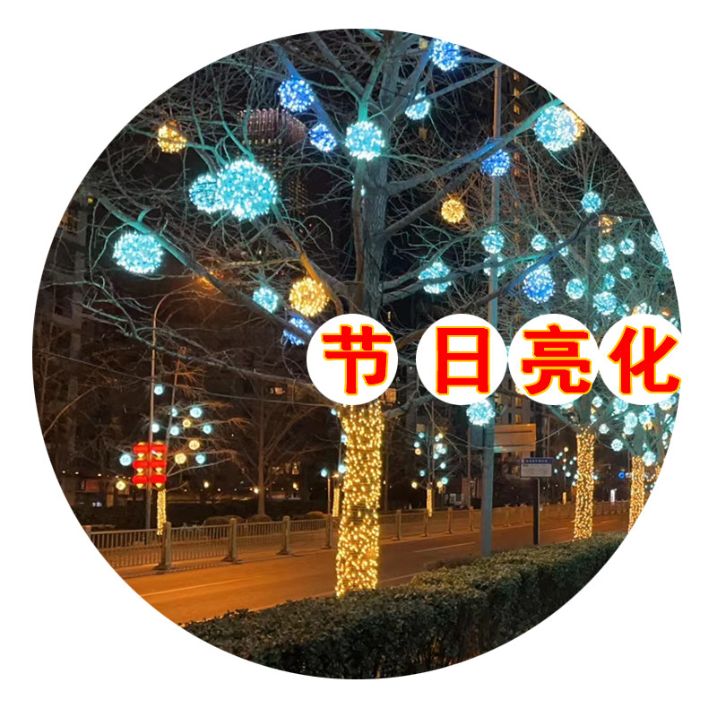 新年节日装饰灯圣诞满天星缠树亮样图/效果图销售