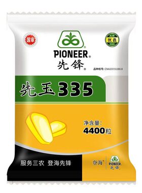 登海先锋先玉335玉米种子
