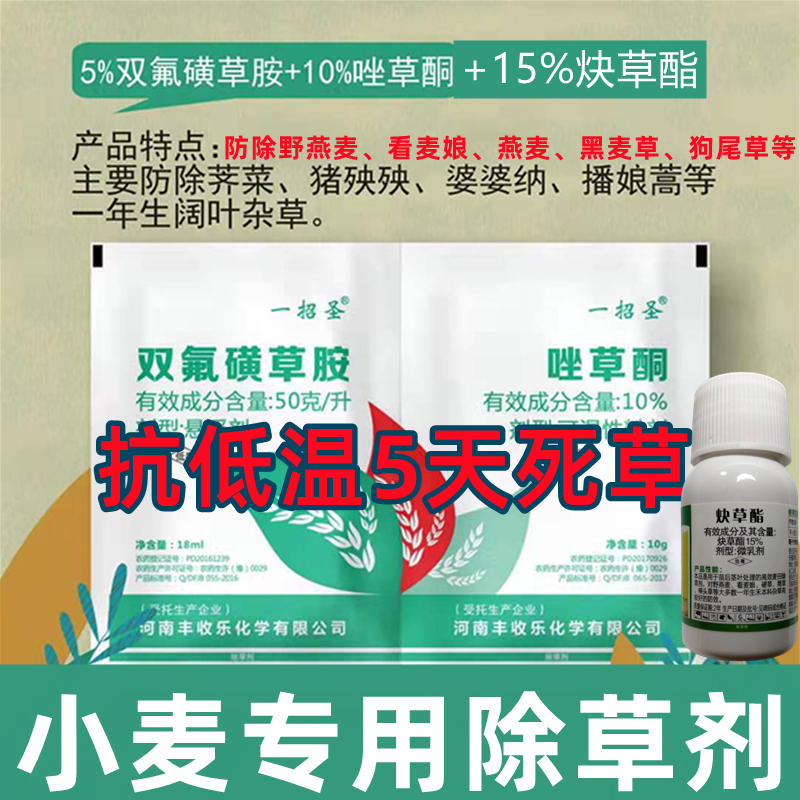 小麦专用除草剂禾阔双除野燕麦看麦娘炔草酯小麦除草剂阔叶草燕麦