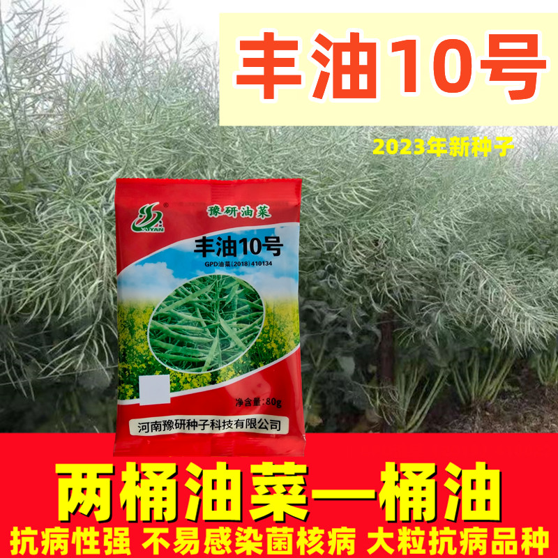 高产油菜种子油菜种子高产杂交