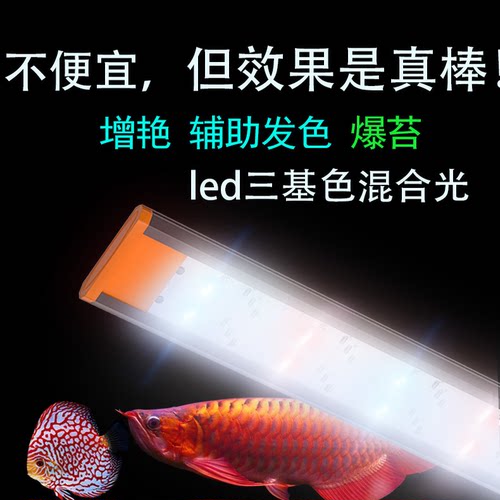 七彩神仙专用灯红龙灯罗汉鱼缸灯锦鲤灯金鱼鹦鹉三湖鱼恋之光led